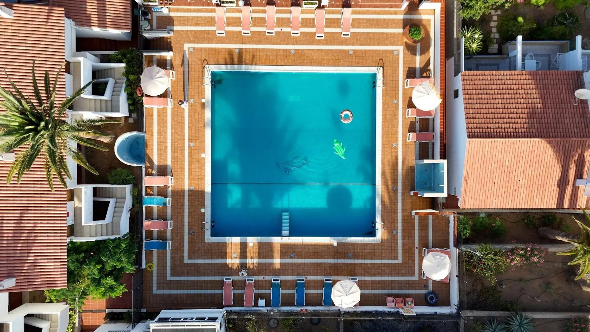Studio Las Americas Monkey Beach Playa de las Américas